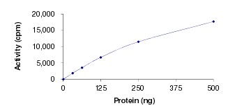 Immobilized human CD117 dimer protein, His-Avi Tag at 2 μg/mL (100 μL/well) can bind anti-human CD117 monoclonal antibody, with half maximal effective concentration (EC50) range of 4.7-18.8 ng/mL (QC tested).